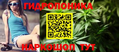 сатива Гусев
